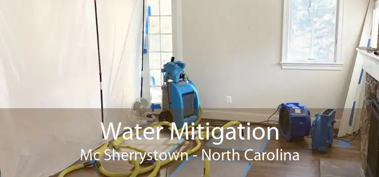 Water Mitigation Mc Sherrystown - North Carolina