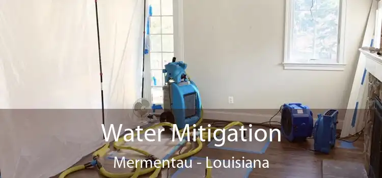 Water Mitigation Mermentau - Louisiana