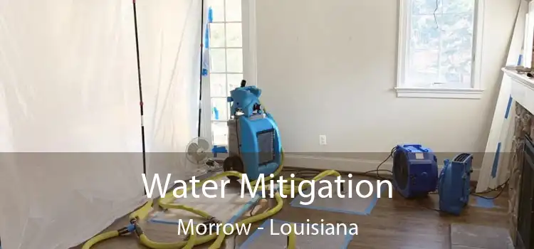 Water Mitigation Morrow - Louisiana