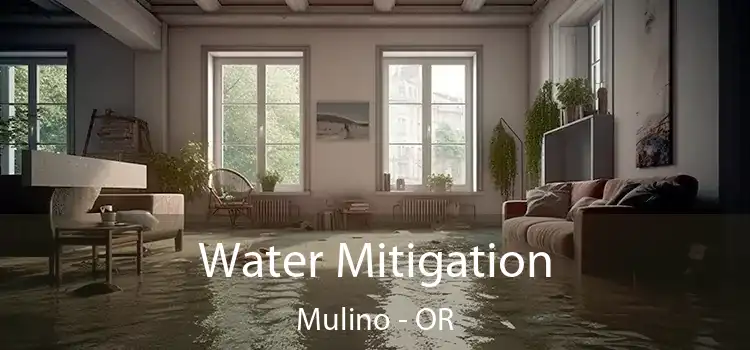 Water Mitigation Mulino - OR