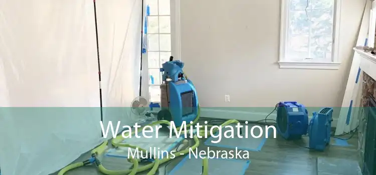 Water Mitigation Mullins - Nebraska