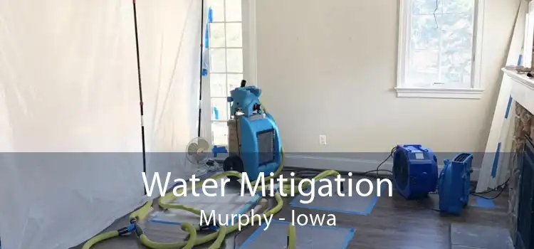 Water Mitigation Murphy - Iowa