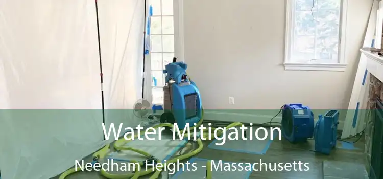 Water Mitigation Needham Heights - Massachusetts