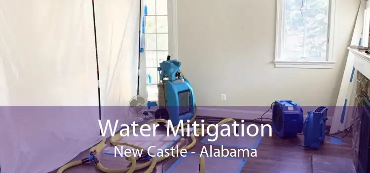 Water Mitigation New Castle - Alabama