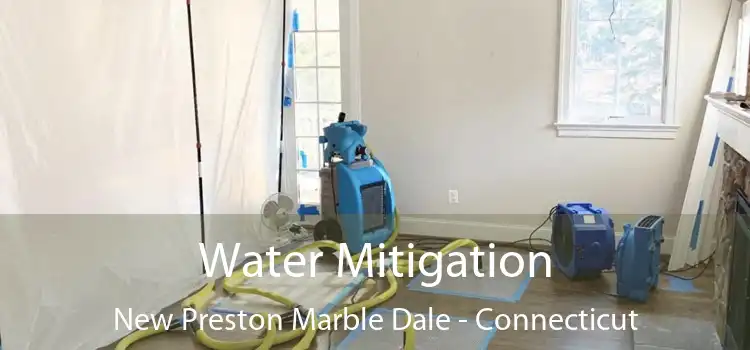 Water Mitigation New Preston Marble Dale - Connecticut