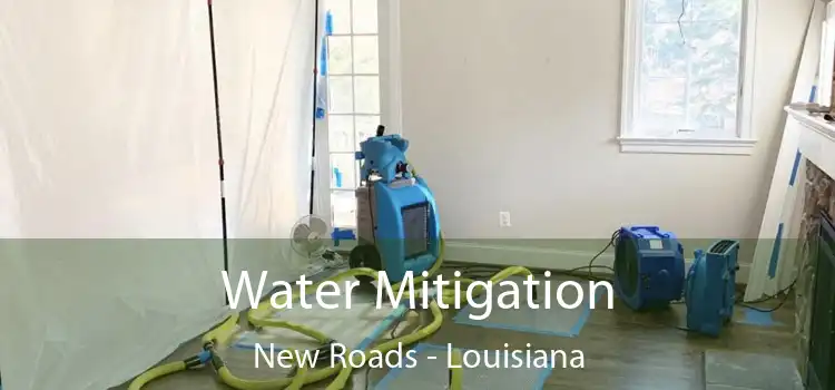 Water Mitigation New Roads - Louisiana