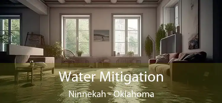 Water Mitigation Ninnekah - Oklahoma