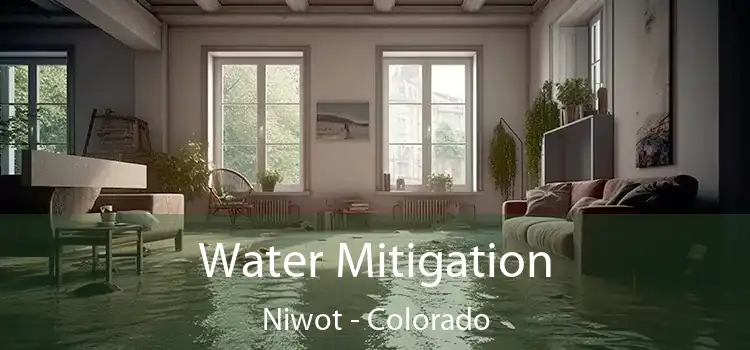 Water Mitigation Niwot - Colorado