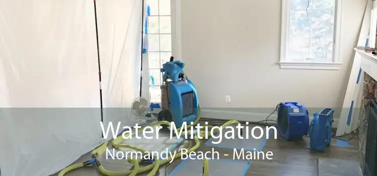 Water Mitigation Normandy Beach - Maine