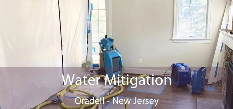 Water Mitigation Oradell - New Jersey