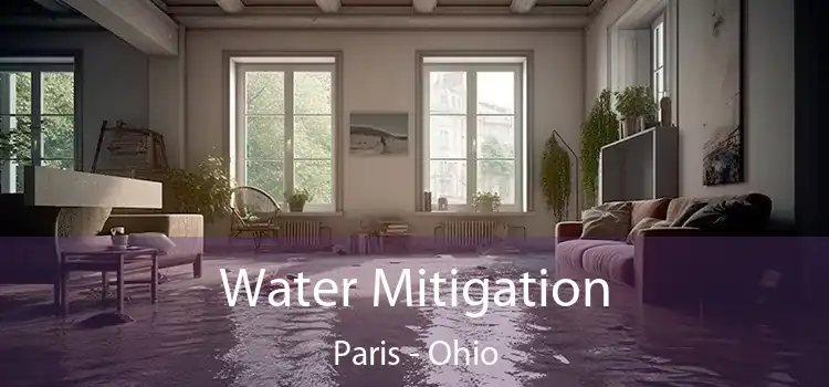 Water Mitigation Paris - Ohio