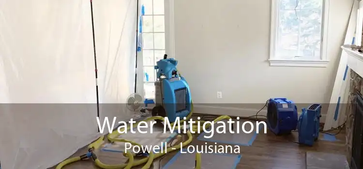 Water Mitigation Powell - Louisiana