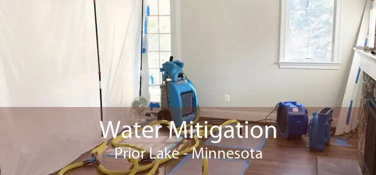 Water Mitigation Prior Lake - Minnesota