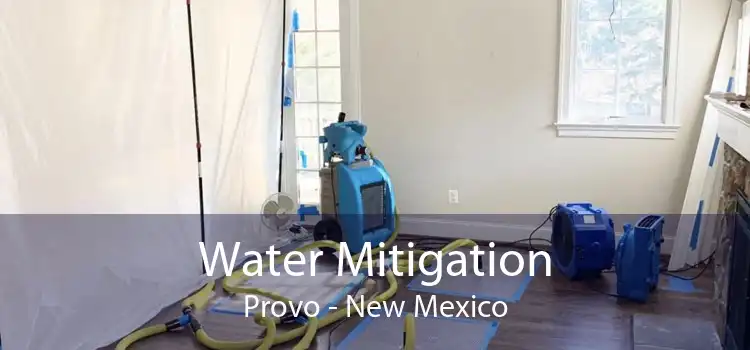 Water Mitigation Provo - New Mexico