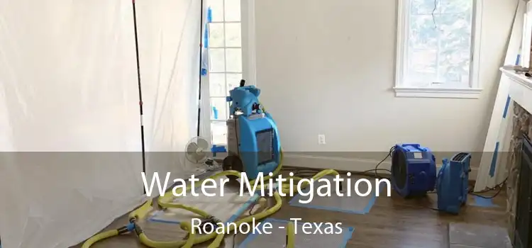 Water Mitigation Roanoke - Texas