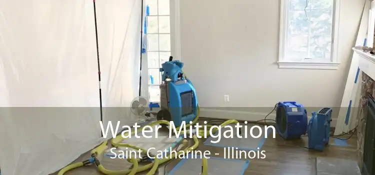 Water Mitigation Saint Catharine - Illinois