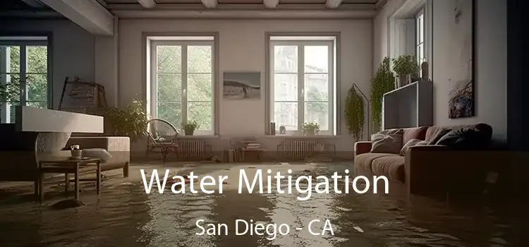 Water Mitigation San Diego - CA