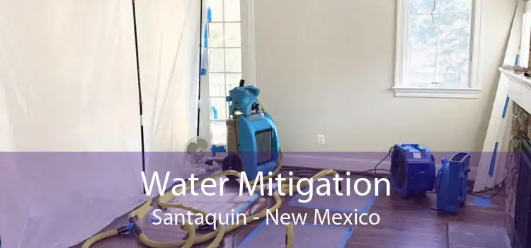Water Mitigation Santaquin - New Mexico
