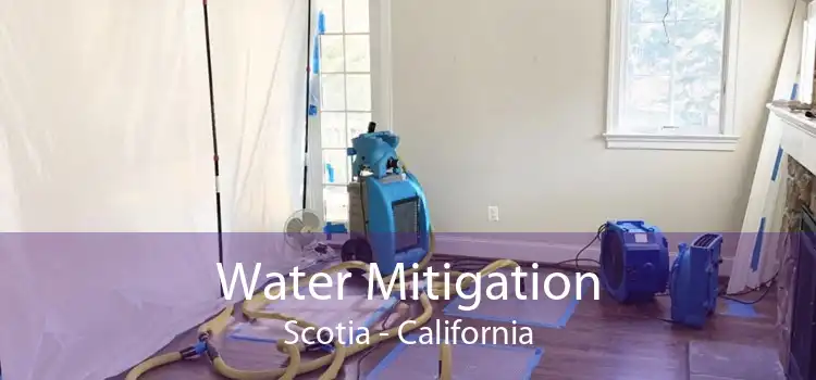 Water Mitigation Scotia - California