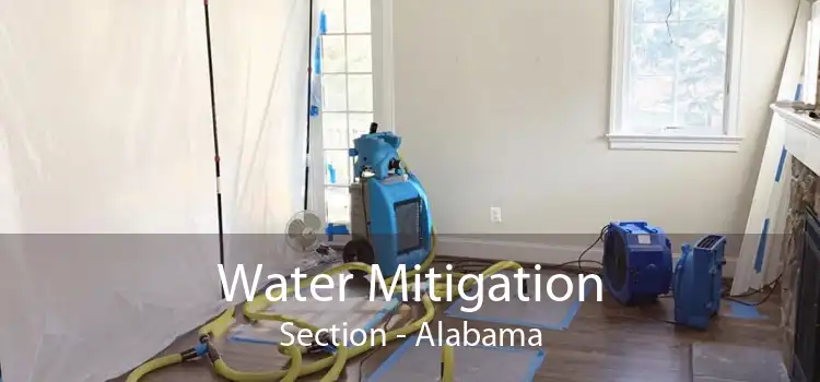 Water Mitigation Section - Alabama