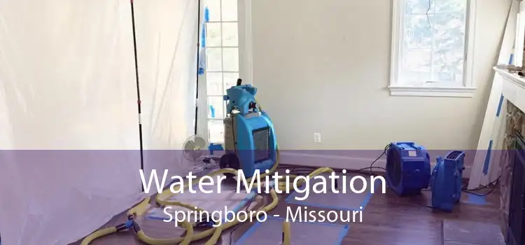 Water Mitigation Springboro - Missouri
