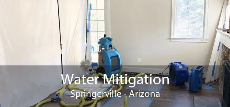 Water Mitigation Springerville - Arizona