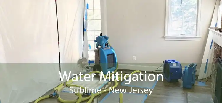 Water Mitigation Sublime - New Jersey