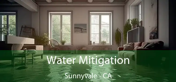 Water Mitigation Sunnyvale - CA