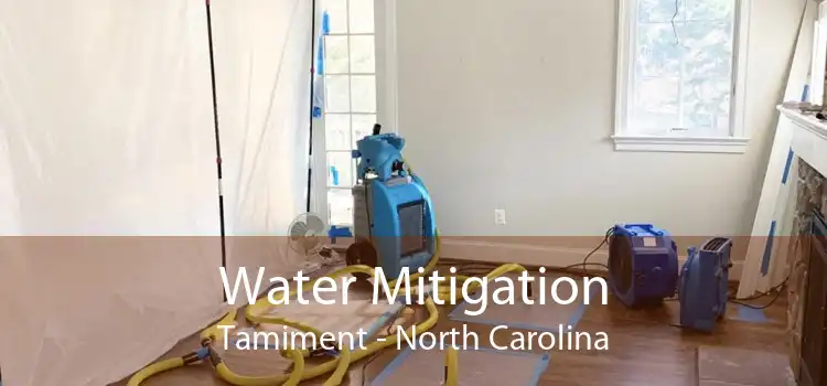 Water Mitigation Tamiment - North Carolina