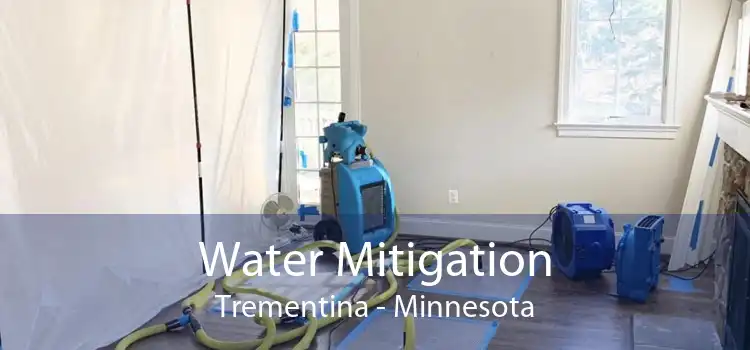 Water Mitigation Trementina - Minnesota