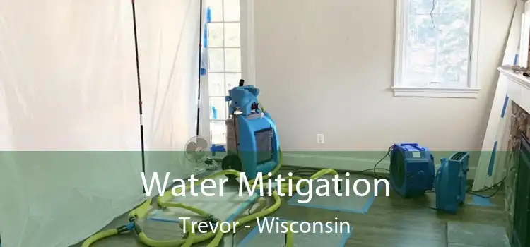 Water Mitigation Trevor - Wisconsin