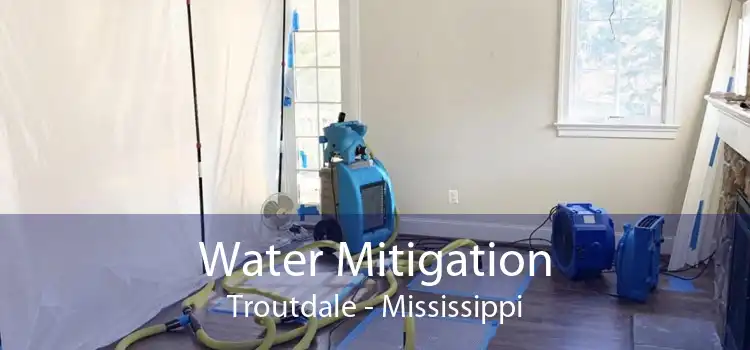 Water Mitigation Troutdale - Mississippi