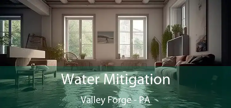 Water Mitigation Valley Forge - PA