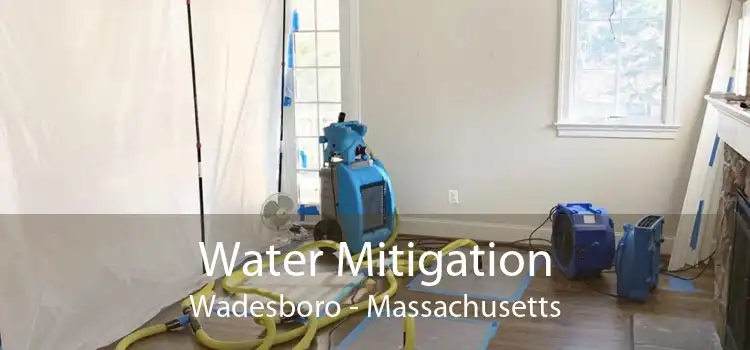 Water Mitigation Wadesboro - Massachusetts