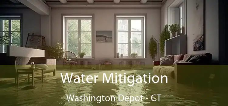 Water Mitigation Washington Depot - CT