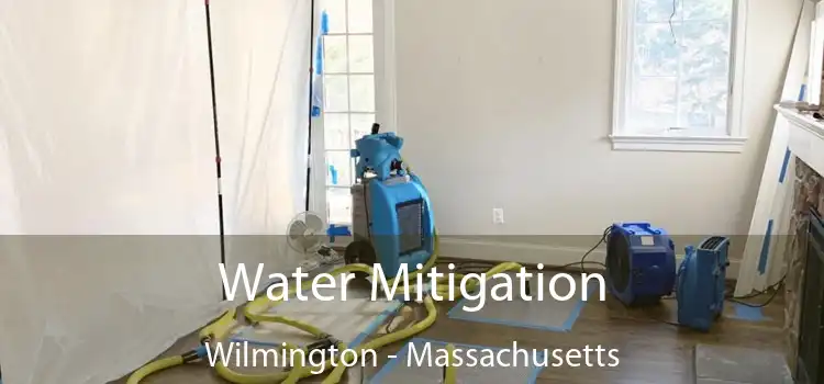 Water Mitigation Wilmington - Massachusetts