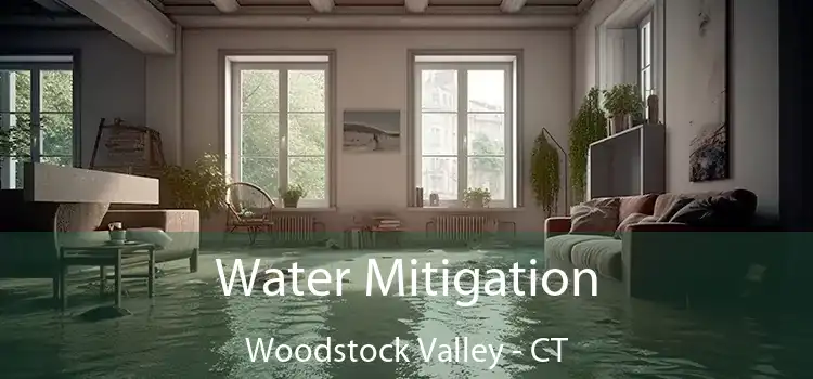 Water Mitigation Woodstock Valley - CT