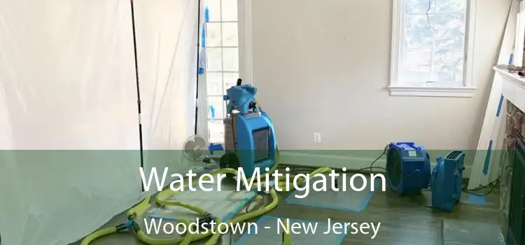 Water Mitigation Woodstown - New Jersey