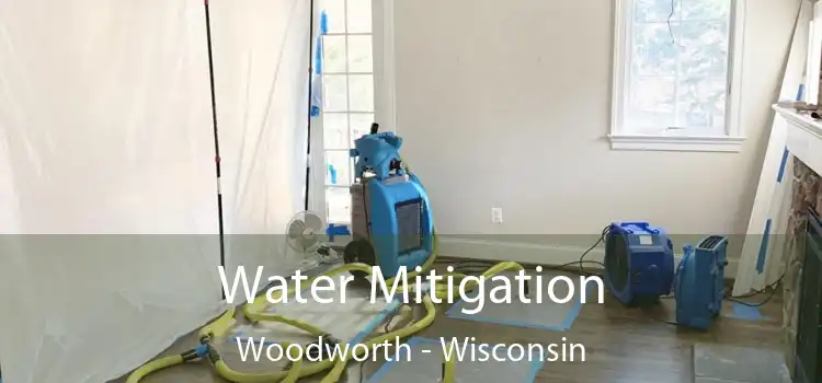 Water Mitigation Woodworth - Wisconsin