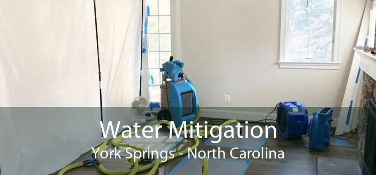 Water Mitigation York Springs - North Carolina