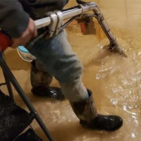 Basement Flood Remediation in Coos Bay, OR