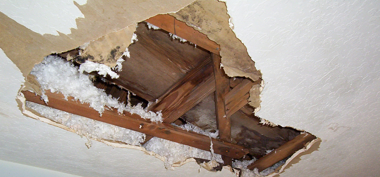 Water Damage Restoration Cost in Albany, OR