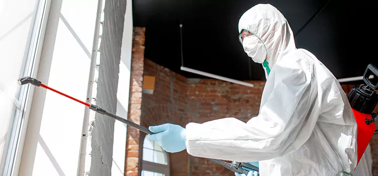 Mold Remediation Company in Mulliken, MI